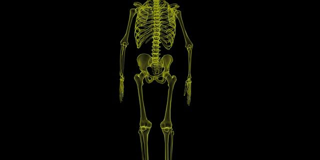 human skeleton image 640x321 1